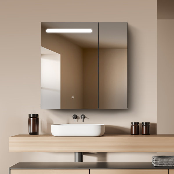 Brayden Studio® Alizeya Large Surface Mount Frameless 2 Doors Medicine